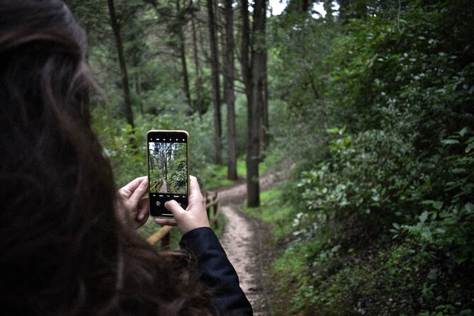Discover the Lake Agnes Tea House Trail with an Audio Nature Tour - Should you book the Lake Agnes Tea House Trail audio tour?