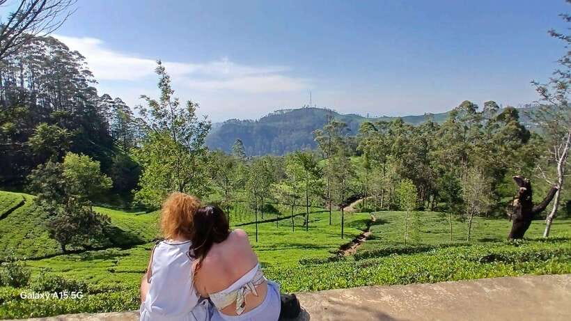 Ella: 9 Arches Bridge, Little Adam's Peak, Tea Factory, Food - Should You Book This Tour?