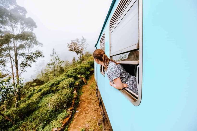 Ella Day Tour: with Tea Factory Visit from Colombo/Bentota - From Colombo or Bentota to Ella’s Highlands: the day starts with comfort