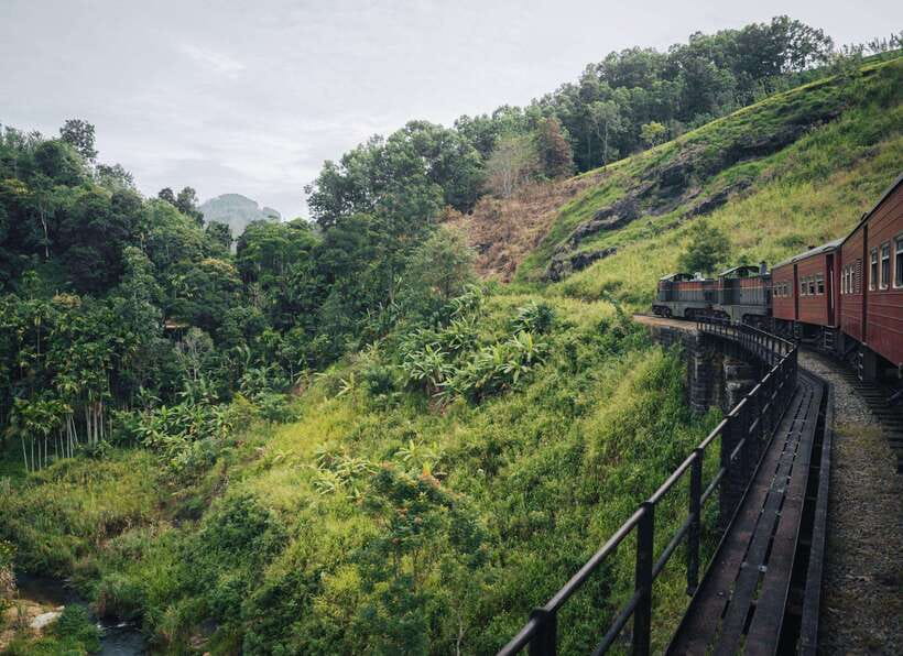 Ella Day Tour: with Tea Factory Visit from Colombo/Bentota - Little Adam’s Peak: the walk for big, misty views