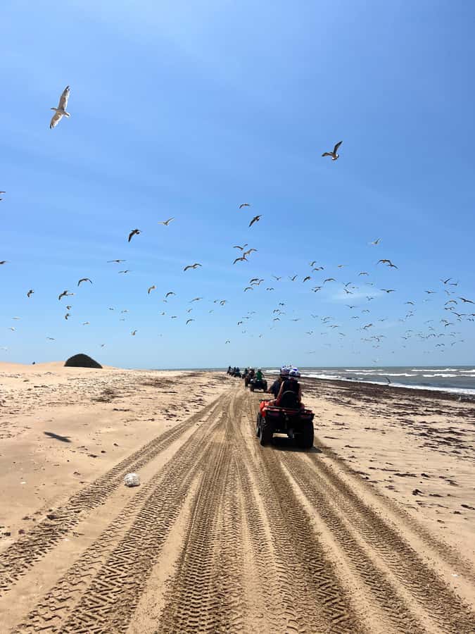 Essaouira: quad biking ATV Tour in Essaouira with tea break - Price and value: $35 for quad + guide + tea + lunch