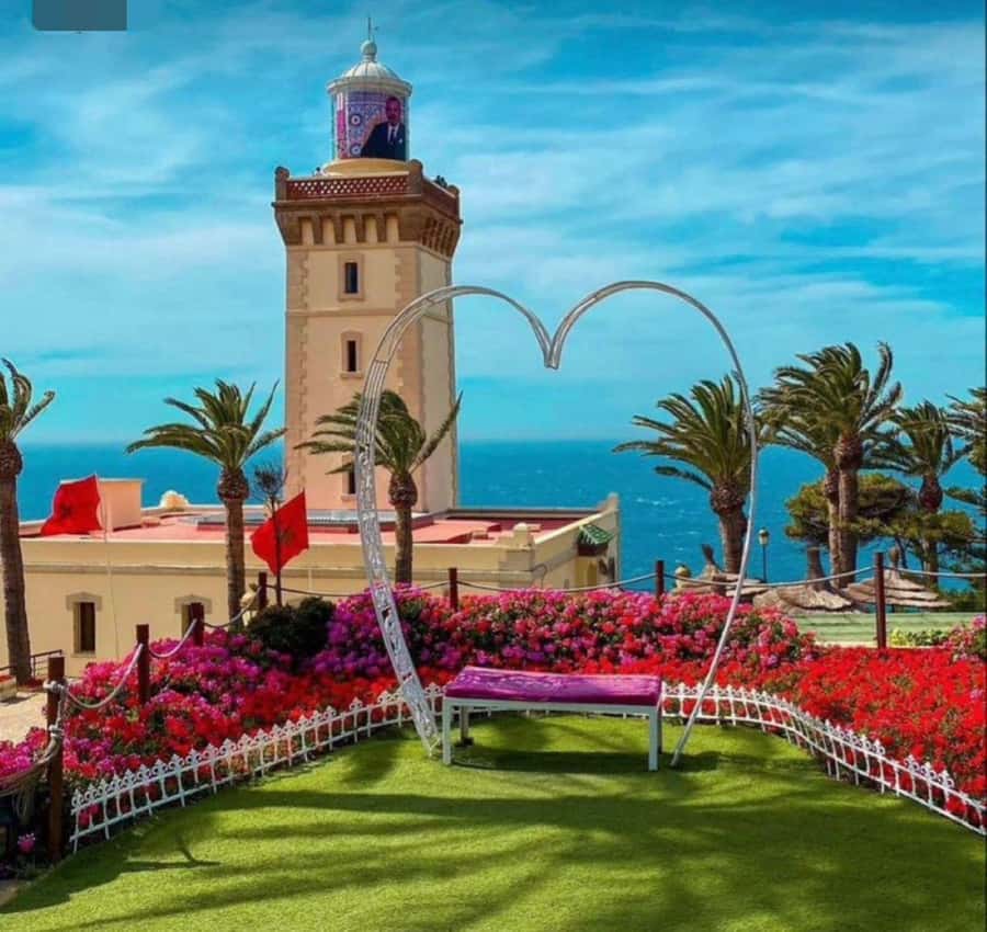 Exclusive Tangier Day Tour from Tarifa To Tanger with Tea - Strait Views First: What the Tarifa-to-Tangier Day Feels Like