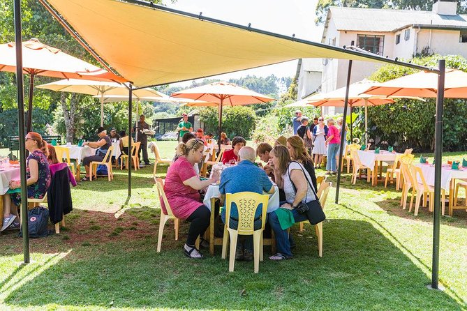 Excursion to Kiambethu Tea Farm - Door-to-door timing and why the driver matters
