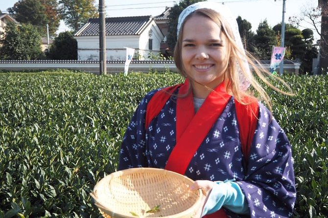 Experience Seasonal Green Tea Picking in Sayama and Nostalgic Walk in Kawagoe! - Warehouse District and Candy Alley (Kashiya Yokochō): Where Edo Looks Meet Snacks