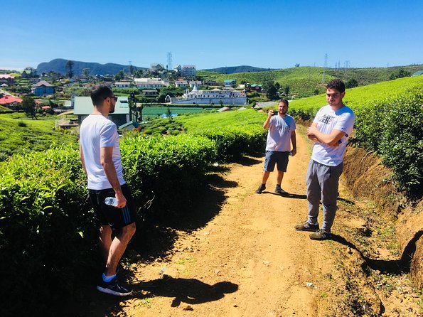 Explore Nuwara Eliya | Experience the Best Tea in the World - Stop-by-stop: what you’ll see and how to get the most from each tea moment