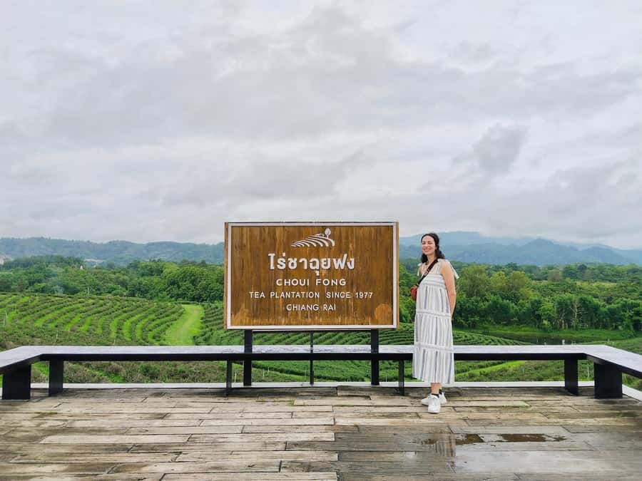 Explorer Border road and Nature ( Tea and Coffee ) - Tea hills, border roads, and a day that actually feels full