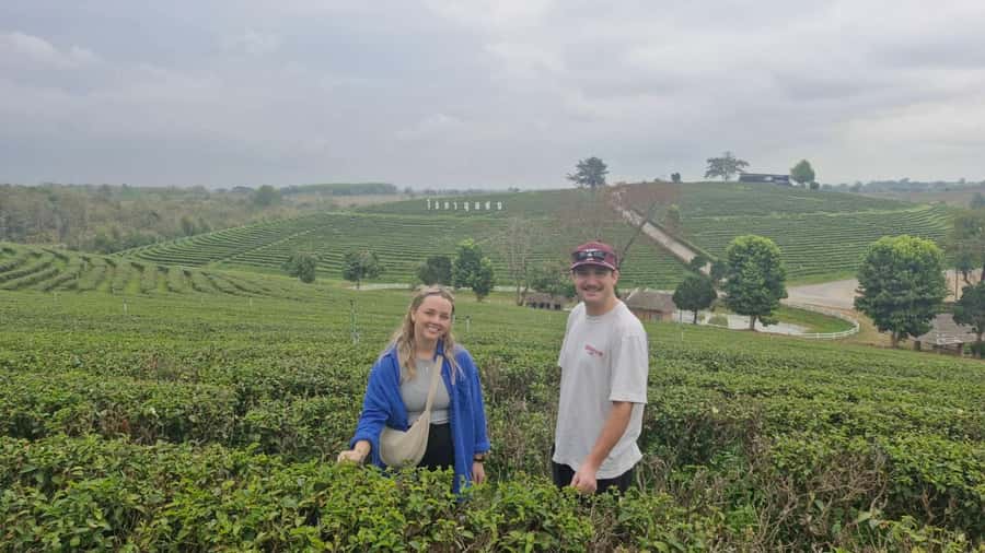 Explorer Border road and Nature ( Tea and Coffee ) - Ban Pha Hee and Ban Pha Mi: coffee, calm, and village time