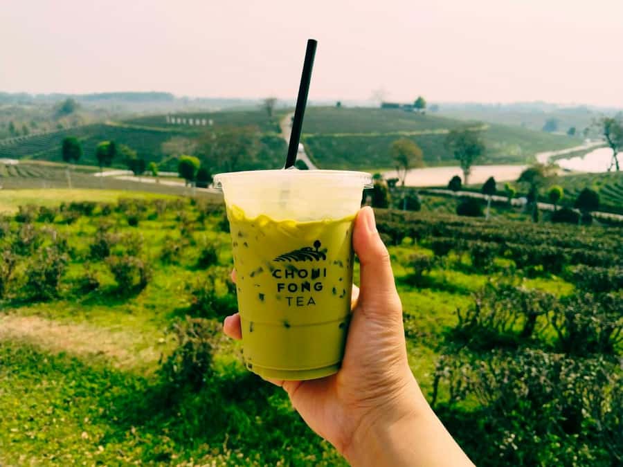 Explorer Border road and Nature ( Tea and Coffee ) - Golden Triangle: Ruak and Mekong, plus the Hall of Opium