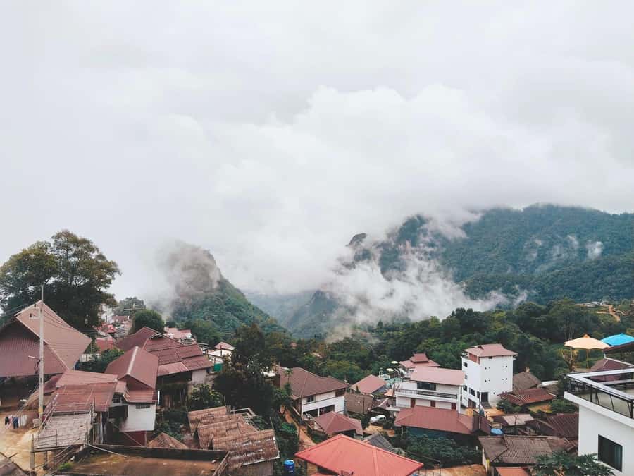 Explorer Border road and Nature ( Tea and Coffee ) - Price and value: what $144 per group really gets you