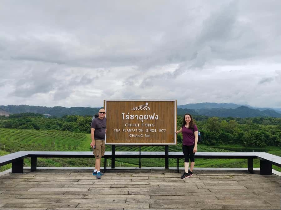 Explorer Border road and Nature ( Tea and Coffee ) - Choui Fong Tea Plantation: start with Chiang Rai oolong
