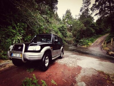 Fire Lake, Pineapple & Tea: Half-Day Jeep Tour - Stop-by-Stop: Lagoa do Fogo, Lakes, and Volcanic Steam