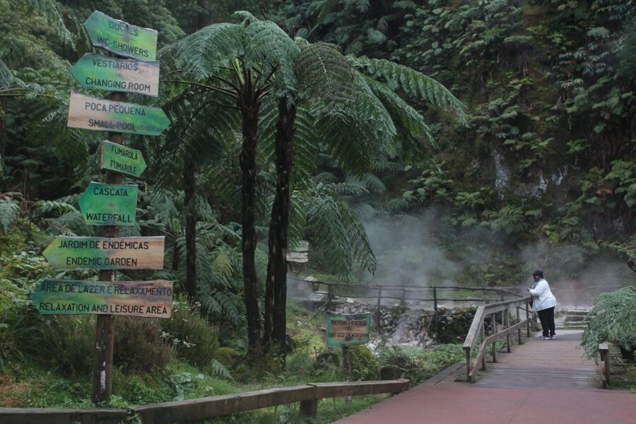 Fire Lake & Tea Factory & Pinneaple - Santa Iria Lookout: Panoramas Without the Hiking