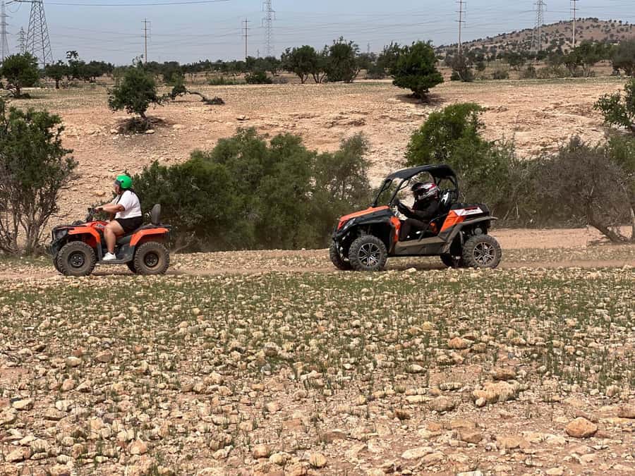 From Agadir/Taghazout: Buggy Safari Adventure & Moroccan Tea - Goats in argan trees: the photo moment people remember