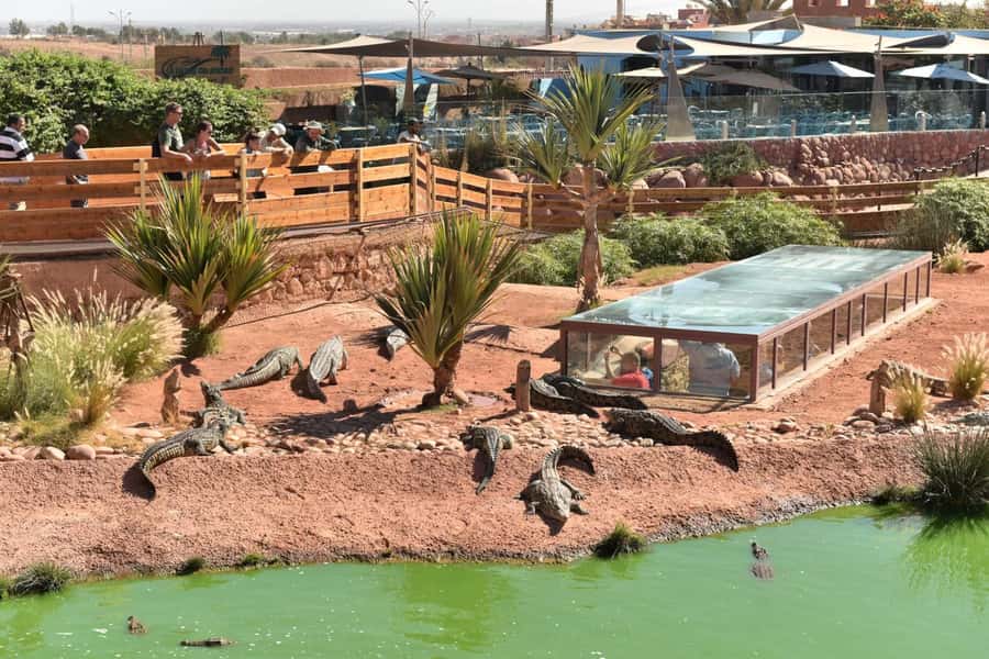 From Agadir/Taghazout: Buggy Safari Adventure & Moroccan Tea - Berber tent welcome: tea first, then wheels