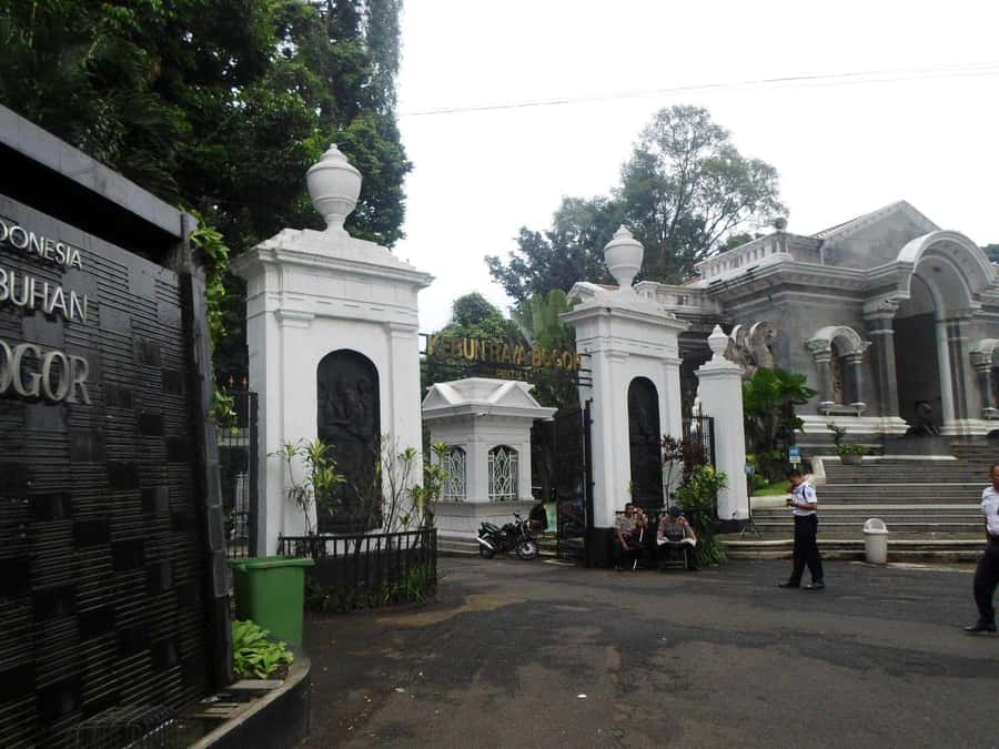 From Bandung: Tea Plantation and Botanical Garden Tour - Key Points at a Glance