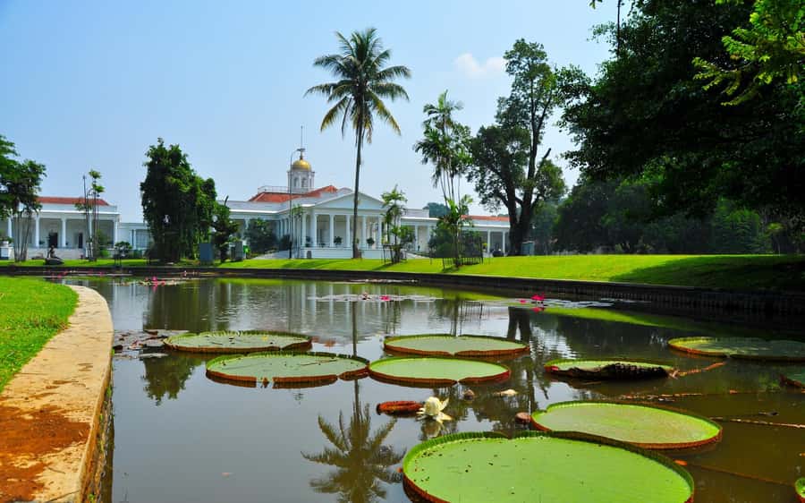 From Bandung: Tea Plantation and Botanical Garden Tour - Puncak Tea Plantation: Factory Views, Tea Bridge Walk, and Real-World Tea