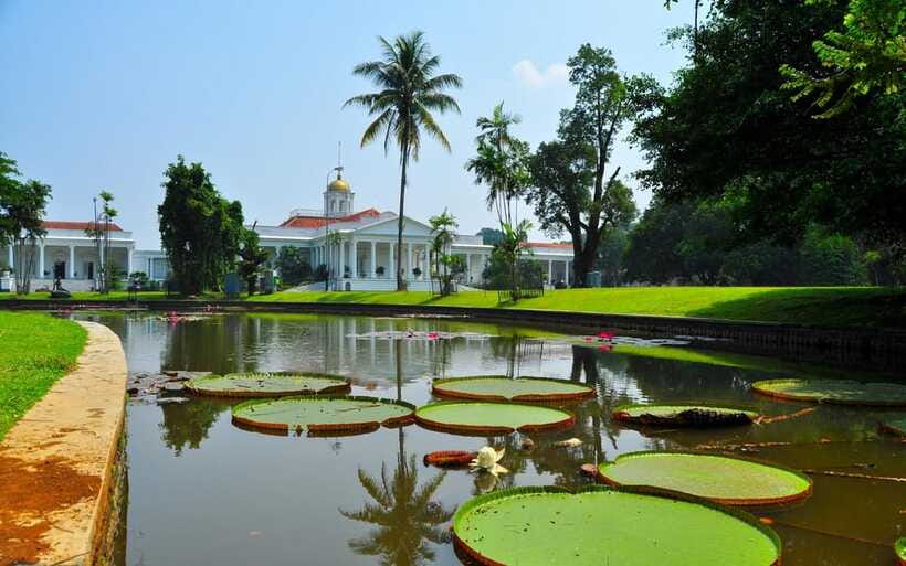 From Bandung: Tea Plantation and Botanical Garden Tour - Botanical Garden Bogor: 1817 Roots, 15,000 Plant Types, and a Palace Neighborhood