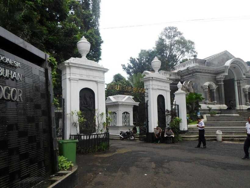 From Bandung: Tea Plantation and Botanical Garden Tour - Getting to Jakarta Without Stress