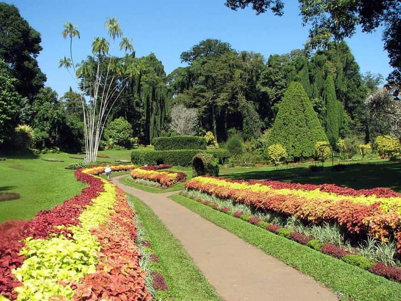 From Colombo: Kandy, Pinnawala and Tea Factory Full-Day Trip - Lunch with a view: plan for your own meal break