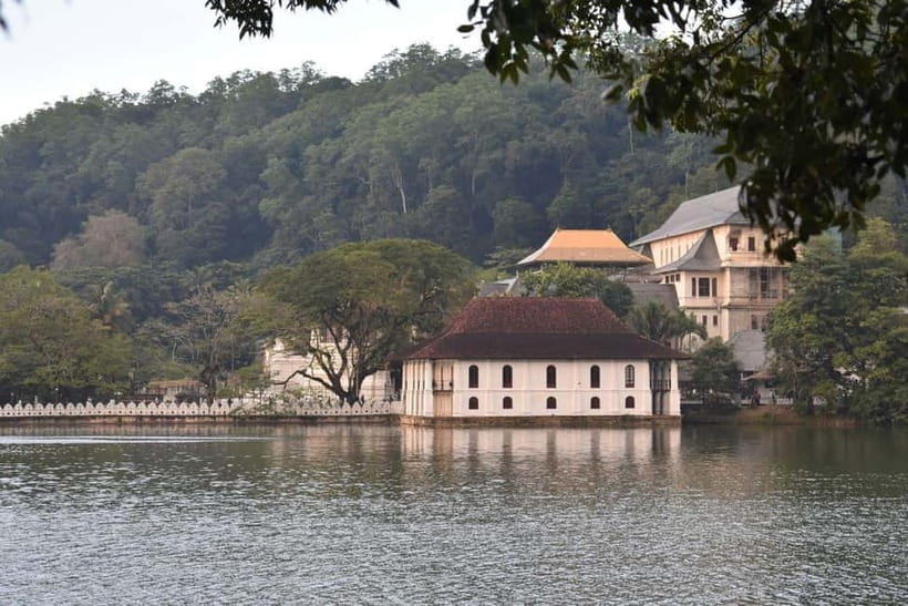 From Colombo: Kandy, Pinnawala and Tea Factory Full-Day Trip - Tea factory stop on the way back: why the last chapter matters
