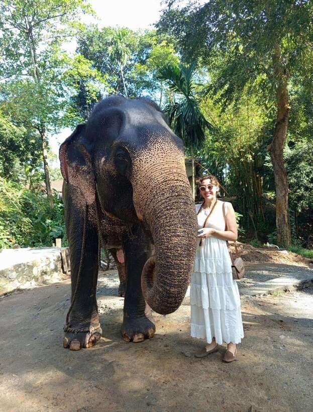From Colombo or Negombo: Pinnawala, Kandy & Tea Factory Tour - Key moments worth building your day around