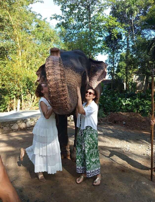 From Colombo or Negombo: Pinnawala, Kandy & Tea Factory Tour - Bahirawakanda Temple and the Sacred Tooth Relic in UNESCO Kandy