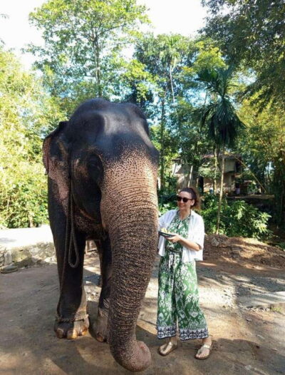 From Colombo or Negombo: Pinnawala, Kandy & Tea Factory Tour - Pinnawala Elephant Orphanage: river baths and feeding time