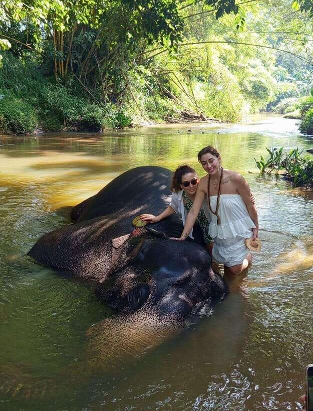 From Colombo or Negombo: Pinnawala, Kandy & Tea Factory Tour - Who this trip suits best (and who should rethink it)