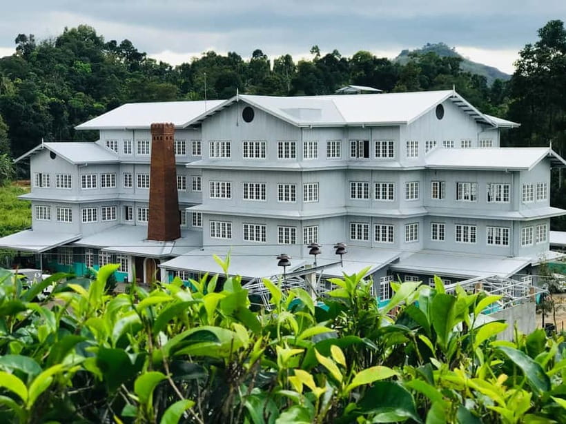 From Colombo: Pinnawala & Tea factory with Kandy Hotel Drop - Included vs. Not Included: Build Your Day Budget
