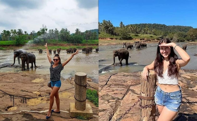 From Colombo: Pinnawala & Tea factory with Kandy Hotel Drop - Pinnawala Elephant Orphanage: Seeing the Real Animals Close Up