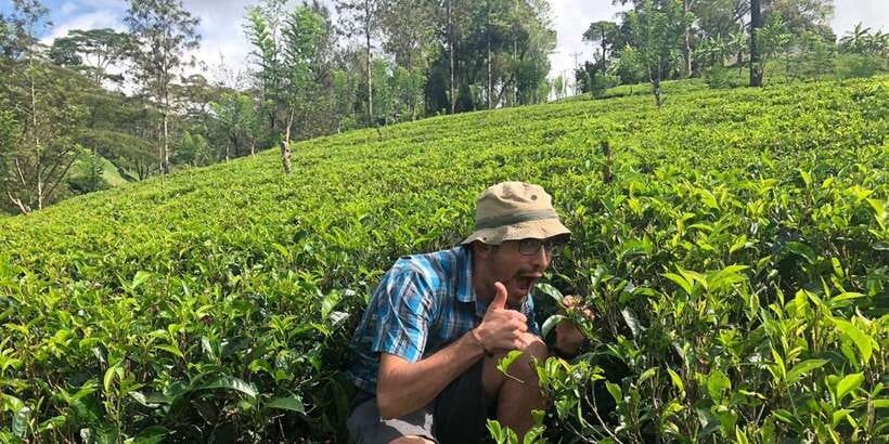 From Colombo: Virgin White Tea and Galle City Tour - From Colombo at 8:00 AM: How the Day Actually Runs