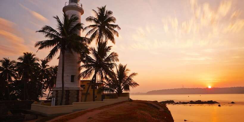 From Colombo: Virgin White Tea and Galle City Tour - Handunugoda Tea Factory: Why Virgin White Tea Is Such a Big Deal