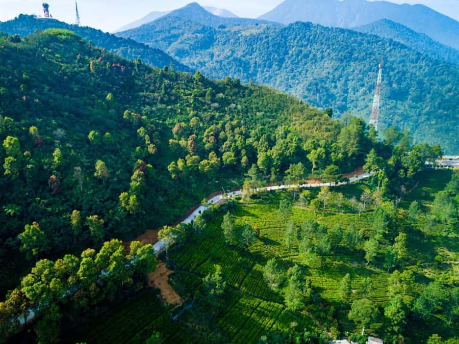 From Jakarta: Safari Park, Tea Plantation & Jaksa Waterfall - From Jakarta: how the drive shapes your day