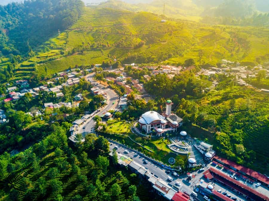 From Jakarta: Safari Park, Tea Plantation & Jaksa Waterfall - Jaksa Waterfall: a forest walk with mist, rocks, and time to reset