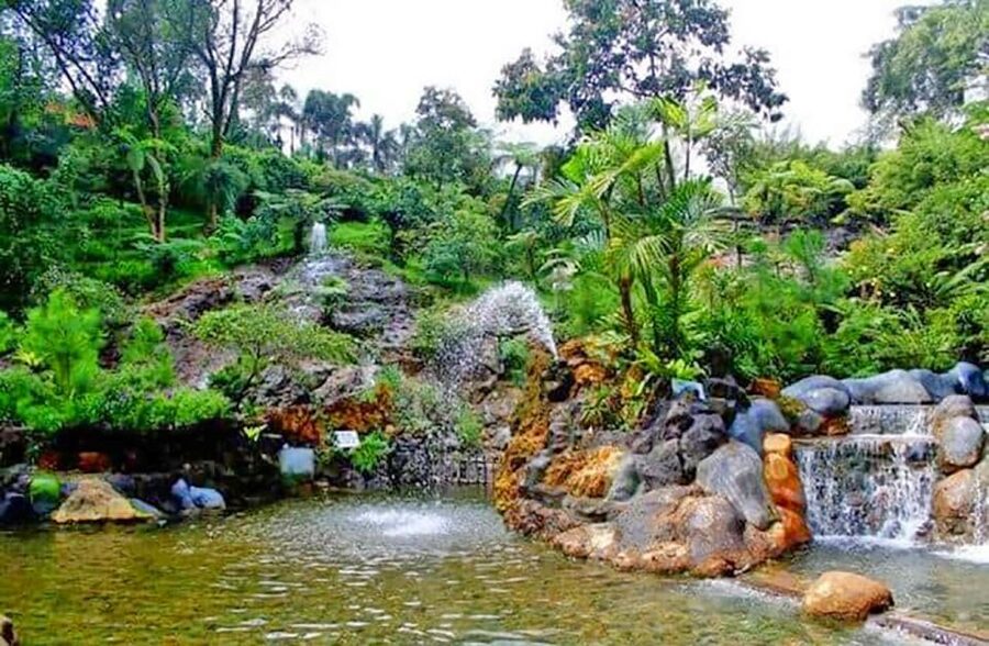 From Jakarta : Volcano, Tea & Rice Fields, Hot Spring - The honey pineapple send-off before you return to Jakarta
