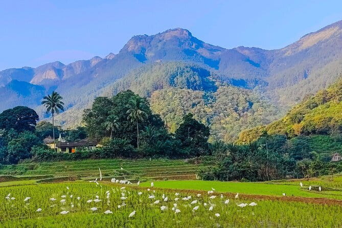 From Kandy to ELLA Private day tour - Ramboda Waterfall: viewpoint options and a real cold-water warning
