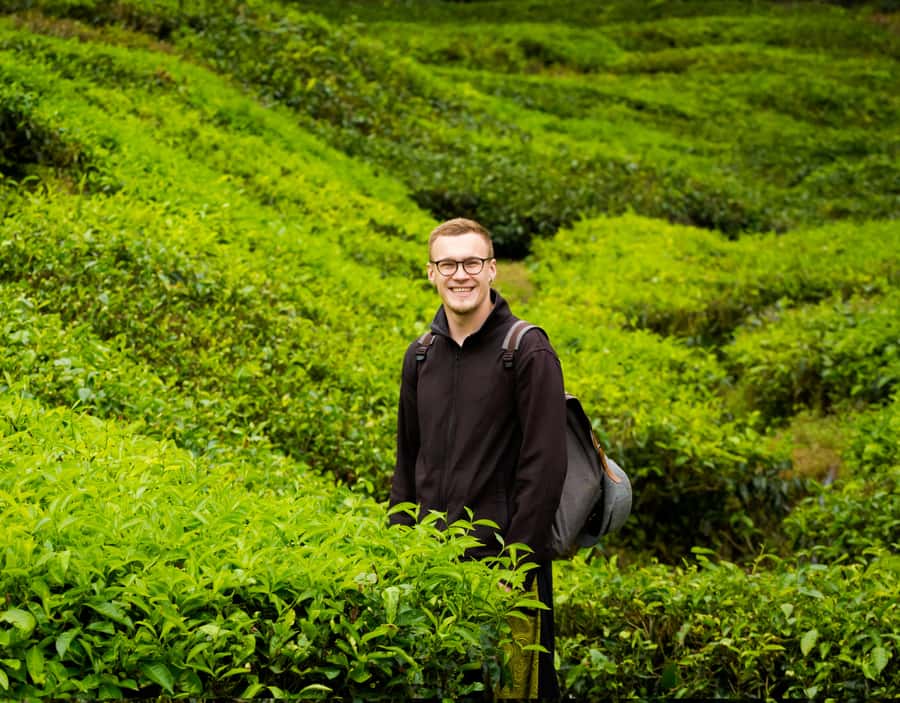 From KL: Cameron Highlands with BOH Habu & Sungei Tea Visit - Key takeaways