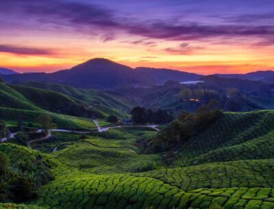 From KL: Cameron Highlands with BOH Habu & Sungei Tea Visit - Lata Iskandar Waterfall and the quick-stops rhythm