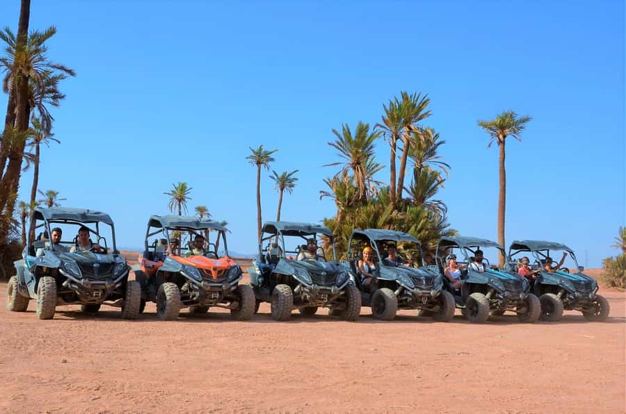 From Marrakech: Palm Grove Quad Bike Tour with Mint Tea - Palm Groves Quad Bike Tour: Quick Takes Before You Go