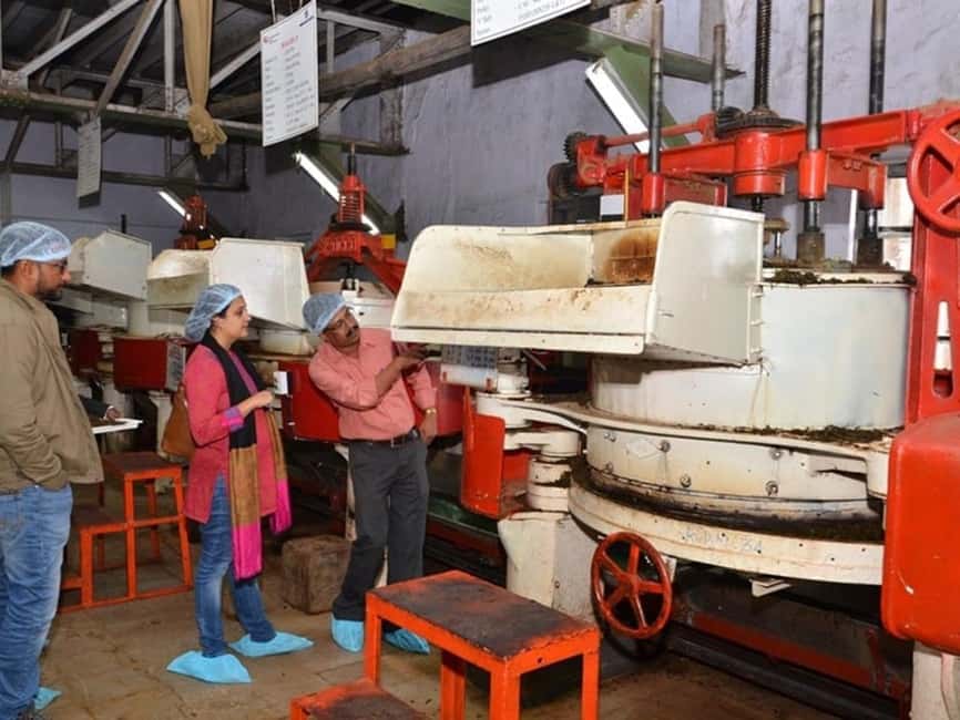 From Munnar: Tea Factory, Plantation, and National Park Tour - Key Things That Make This Munnar Day Tour Work