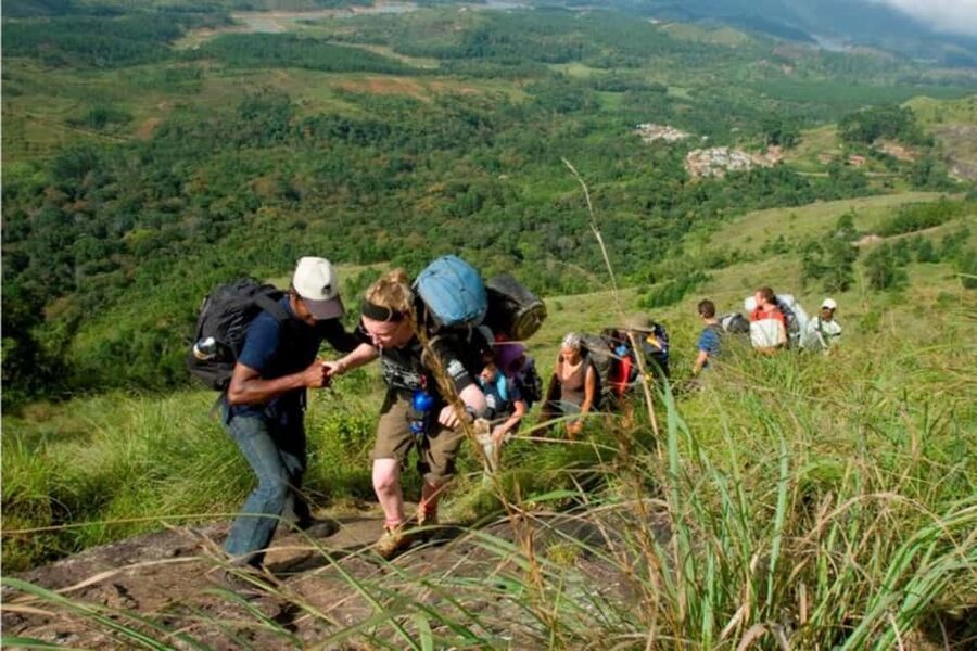 From Munnar: Tea Factory, Plantation, and National Park Tour - Tea Plantation Trek: A 1 km Walk With Cultivation Lessons