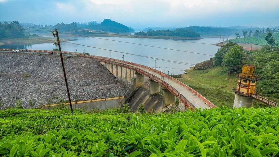 From Munnar: Tea Factory, Plantation, and National Park Tour - Old Munnar Town Stops: Echo Point, Top Station, Mattupetty Dam