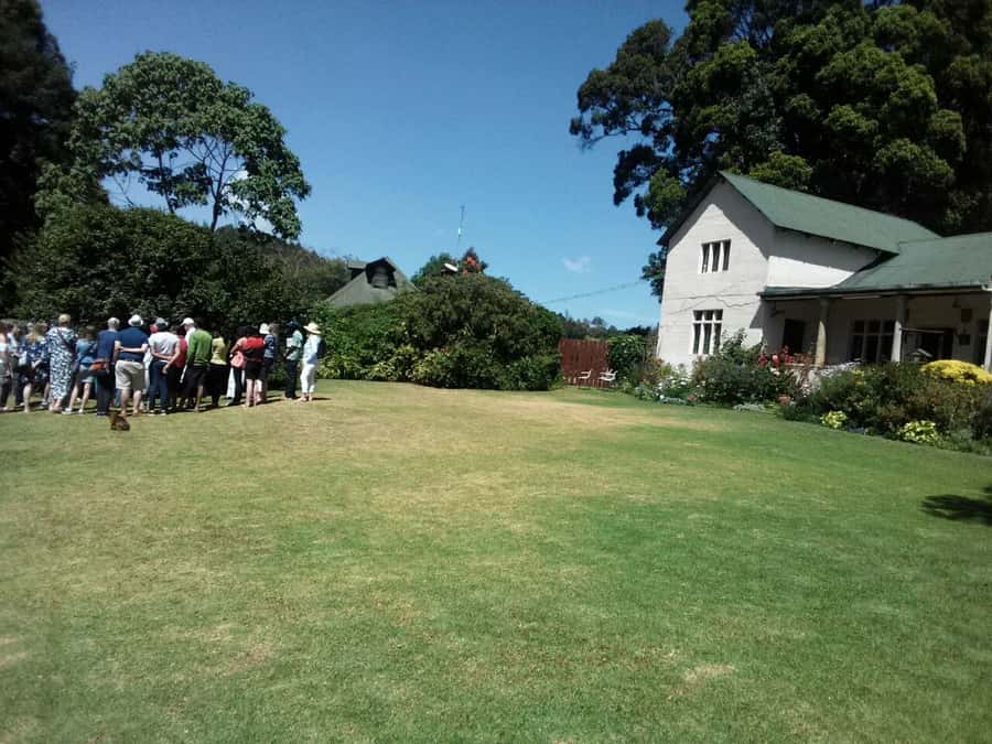 From Nairobi: Kiambethu Tea Farm Tour & Lunch - Price and Value for $160: What You’re Actually Buying