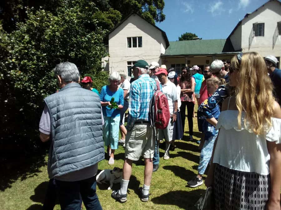 From Nairobi: Kiambethu Tea Farm Tour & Lunch - What Makes the Guide Time Matter (and How to Make It Better)