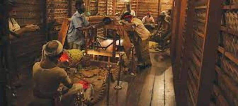 From Negombo : Pinnawala & Tea Factory & Kandy Full Day Trip - Spice garden, small museum moments, and quick cultural stops