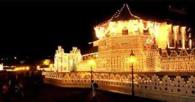 From Negombo : Pinnawala & Tea Factory & Kandy Full Day Trip - Temple of the Sacred Tooth Relic: etiquette and meaning you can feel