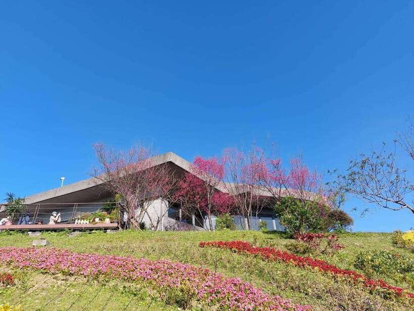 From Taipei: Pinglin Tea Culture and Maokong Guided Day Tour - Transportation, Timing, and the Real Meaning of 9 Hours