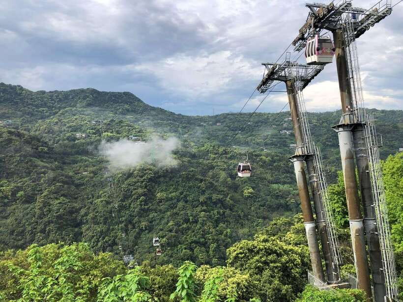 From Taipei: Pinglin Tea Culture and Maokong Guided Day Tour - Taipei Tea Promotion Center: Tieguanyin and Baozhong, Explained in Plain Terms