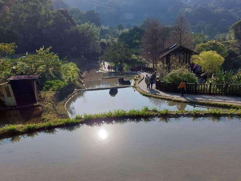 From Taipei: Pinglin Tea Culture and Maokong Guided Day Tour - Pinglin Tea Museum: Tools, Siheyuan Courtyards, and Tea History You Can Feel