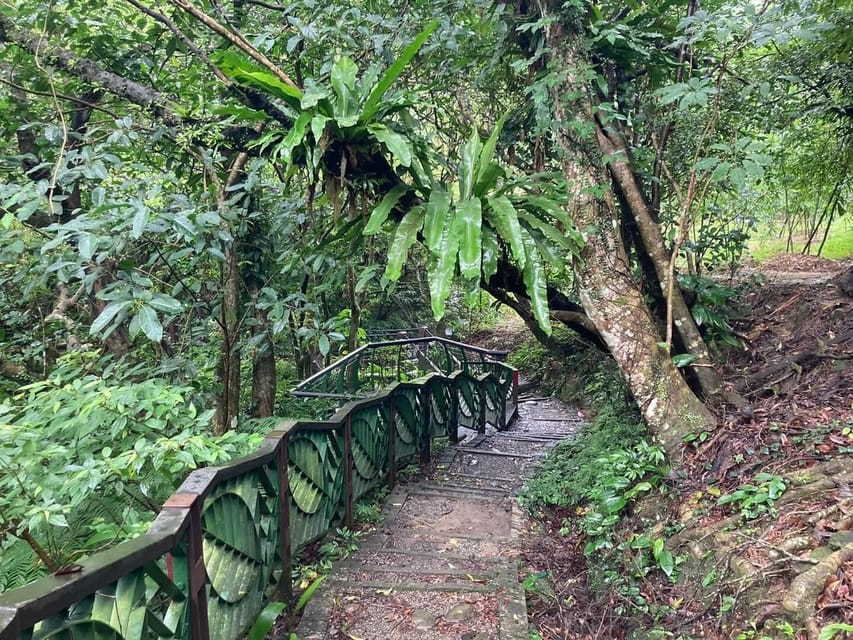 From Taipei: Pinglin Tea Culture and Maokong Guided Day Tour - Tea Tasting With a Sommelier: How to Taste Without Guessing